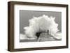waves photographer-Mikel Lastra-Framed Photographic Print