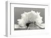 waves photographer-Mikel Lastra-Framed Photographic Print