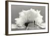 waves photographer-Mikel Lastra-Framed Photographic Print