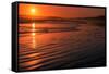 Waves rolling into Long Beach at sunset, Pacific Rim National Park Reserve, Vancouver Island, Br...-null-Framed Stretched Canvas