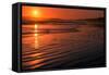 Waves rolling into Long Beach at sunset, Pacific Rim National Park Reserve, Vancouver Island, Br...-null-Framed Stretched Canvas