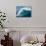 Waves Splashing in the Sea-null-Photographic Print displayed on a wall