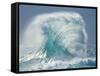 Waves Splashing in the Sea-null-Framed Stretched Canvas