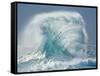 Waves Splashing in the Sea-null-Framed Stretched Canvas