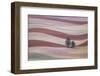 Waves-Ales Komovec-Framed Photographic Print