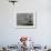 Waving Flags in Rio De Janeiro after Brazil Was Officially Chosen by Fifa as Host of 2014 World Cup-null-Framed Photographic Print displayed on a wall