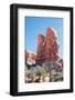 Waving Rock Formation-picturstock-Framed Photographic Print