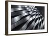 Waving-Jeroen Van-Framed Photographic Print