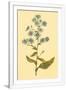 Gramercy White