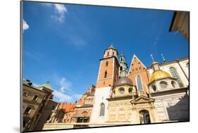 Wawel Castle in Krakow, Poland.-De Visu-Mounted Photographic Print