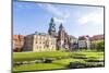 Wawel Castle on Sunny Day with Blue Sky and White Clouds-Jorg Hackemann-Mounted Photographic Print