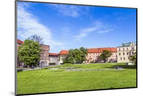 Wawel Castle on Sunny Day with Blue Sky and White Clouds-Jorg Hackemann-Mounted Photographic Print