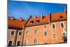 Wawel Castle Square on Sunny Summer Day in Krakow, Poland-Curioso Travel Photography-Mounted Photographic Print