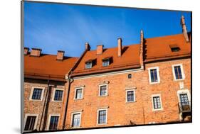 Wawel Castle Square on Sunny Summer Day in Krakow, Poland-Curioso Travel Photography-Mounted Photographic Print