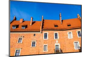 Wawel Castle Square on Sunny Summer Day in Krakow, Poland-Curioso Travel Photography-Mounted Photographic Print