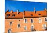 Wawel Castle Square on Sunny Summer Day in Krakow, Poland-Curioso Travel Photography-Mounted Photographic Print