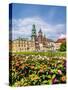 Wawel Cathedral, Cracow (Krakow), Lesser Poland Voivodeship, Poland-Karol Kozlowski-Stretched Canvas