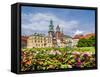 Wawel Cathedral, Cracow (Krakow), Lesser Poland Voivodeship, Poland-Karol Kozlowski-Framed Stretched Canvas