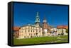 Wawel Cathedral in Krakow, Poland-Leonid Andronov-Framed Stretched Canvas