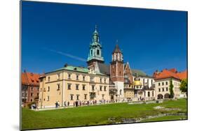 Wawel Cathedral in Krakow, Poland-Leonid Andronov-Mounted Photographic Print