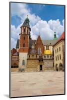 Wawel Cathedral in Krakow, Poland-neirfy-Mounted Photographic Print