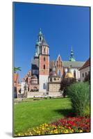 Wawel Cathedral on Wawel Hill in Old Town in Cracow in Poland-mychadre77-Mounted Photographic Print