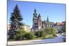 Wawel Cathedral-Pavel-Mounted Photographic Print