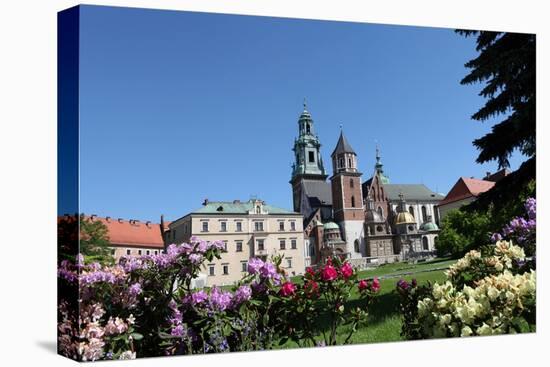 Wawel Hill and the Royal Castle in Krakow-wjarek-Stretched Canvas