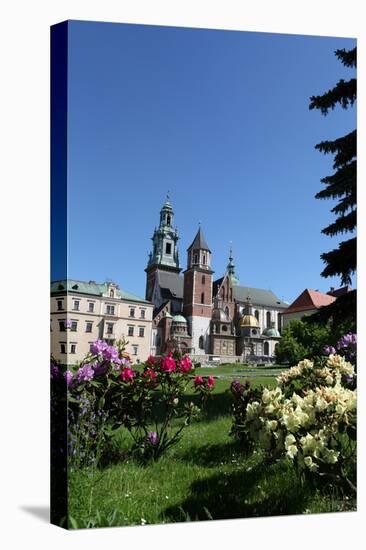 Wawel Hill and the Royal Castle in Krakow-wjarek-Stretched Canvas