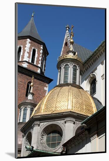 Wawel Hill and the Royal Castle in Krakow-wjarek-Mounted Photographic Print