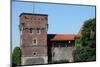 Wawel Hill and the Royal Castle in Krakow-wjarek-Mounted Photographic Print