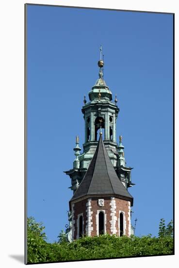 Wawel Hill and the Royal Castle in Krakow-wjarek-Mounted Photographic Print