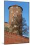 Wawel Hill and the Royal Castle in Krakow-wjarek-Mounted Photographic Print