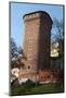 Wawel Hill and the Royal Castle in Krakow-wjarek-Mounted Photographic Print