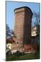 Wawel Hill and the Royal Castle in Krakow-wjarek-Mounted Photographic Print