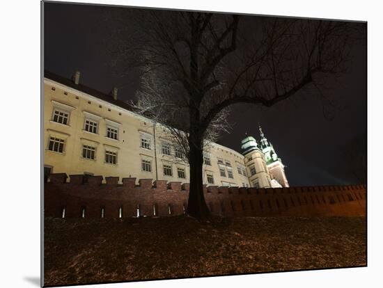 Wawel Hill and the Royal Castle in Krakow-wjarek-Mounted Photographic Print