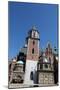 Wawel Hill and the Royal Castle in Krakow-wjarek-Mounted Photographic Print