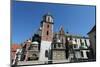 Wawel Hill and the Royal Castle in Krakow-wjarek-Mounted Photographic Print