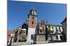 Wawel Hill and the Royal Castle in Krakow-wjarek-Mounted Photographic Print