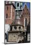 Wawel Hill and the Royal Castle in Krakow-wjarek-Mounted Photographic Print