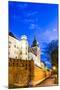 Wawel Hill by Night - Krakow-Jorg Hackemann-Mounted Photographic Print