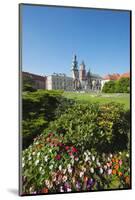 Wawel Hill Castle and Cathedral, UNESCO World Heritage Site, Krakow, Malopolska, Poland, Europe-Christian Kober-Mounted Photographic Print