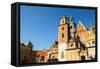 Wawel in Krakow, Poland.-De Visu-Framed Stretched Canvas