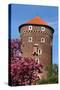 Wawel in Spring-StudioBarcelona-Stretched Canvas