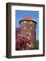 Wawel in Spring-StudioBarcelona-Framed Photographic Print