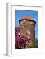 Wawel in Spring-StudioBarcelona-Framed Photographic Print
