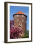 Wawel in Spring-StudioBarcelona-Framed Photographic Print