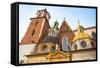 Wawel Royal Palace in Krakow, Poland.-De Visu-Framed Stretched Canvas