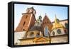 Wawel Royal Palace in Krakow, Poland.-De Visu-Framed Stretched Canvas