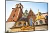 Wawel Royal Palace in Krakow, Poland.-De Visu-Mounted Photographic Print